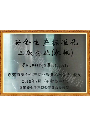 安全生產(chǎn)標(biāo)準(zhǔn)化證書(shū)